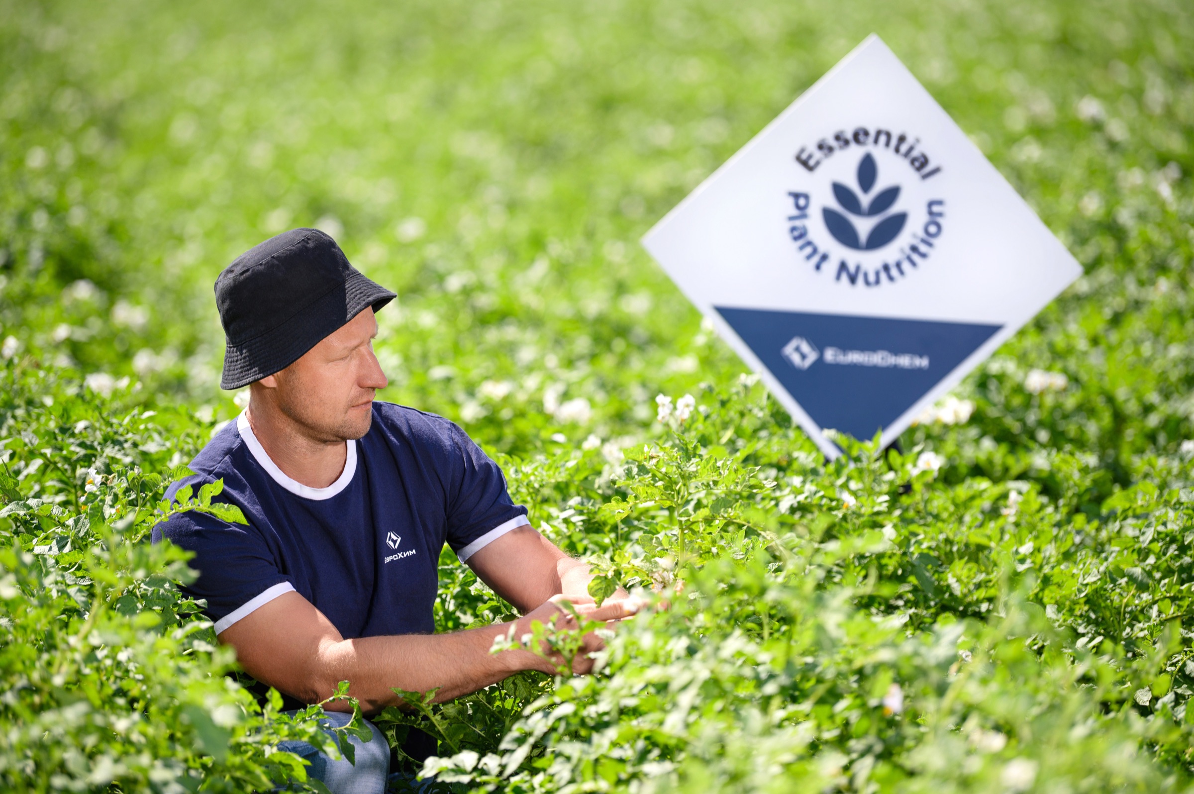 Farmer working in a green crop field